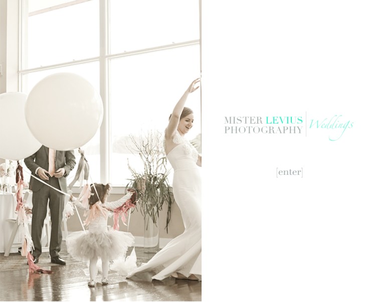 PAGE MLP Wedding Andrea&Brett